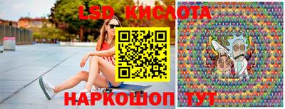 крисы Кулебаки
