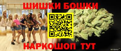 крисы Кулебаки