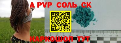 крисы Кулебаки