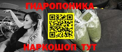 крисы Кулебаки